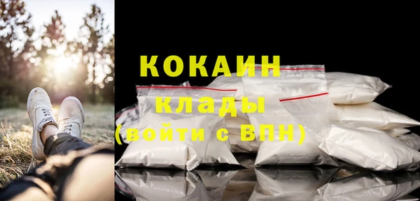 стаф Аркадак