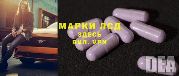 стаф Аркадак