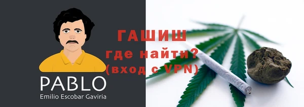 стаф Аркадак