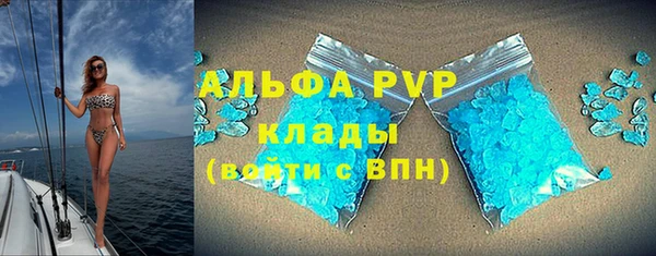 стаф Аркадак