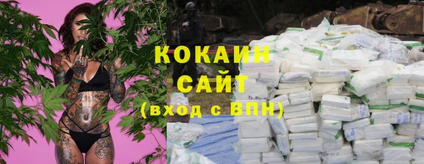 стаф Аркадак